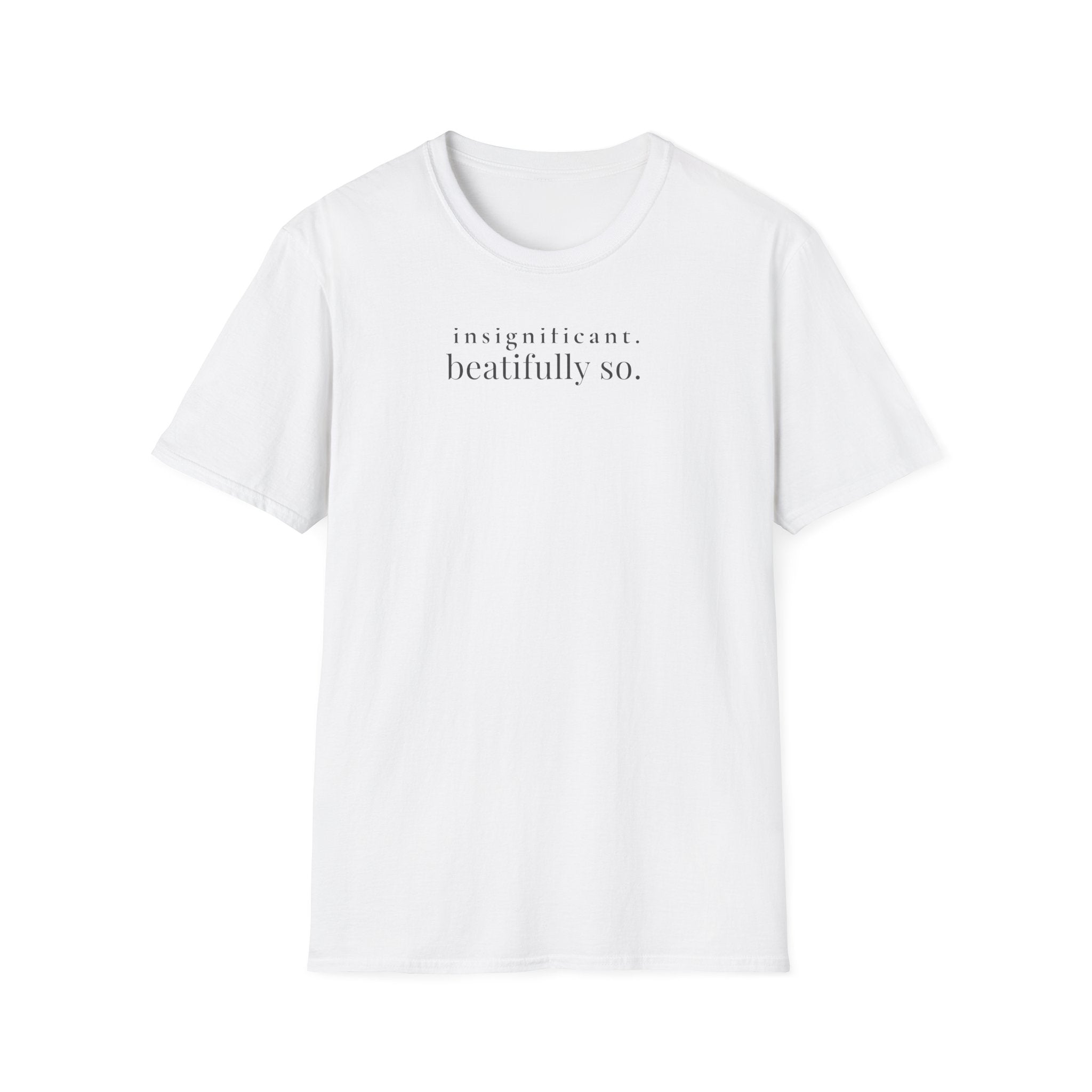 insignificant. beautifully so. t-shirt