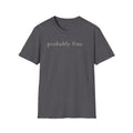 probably fine. t-shirt