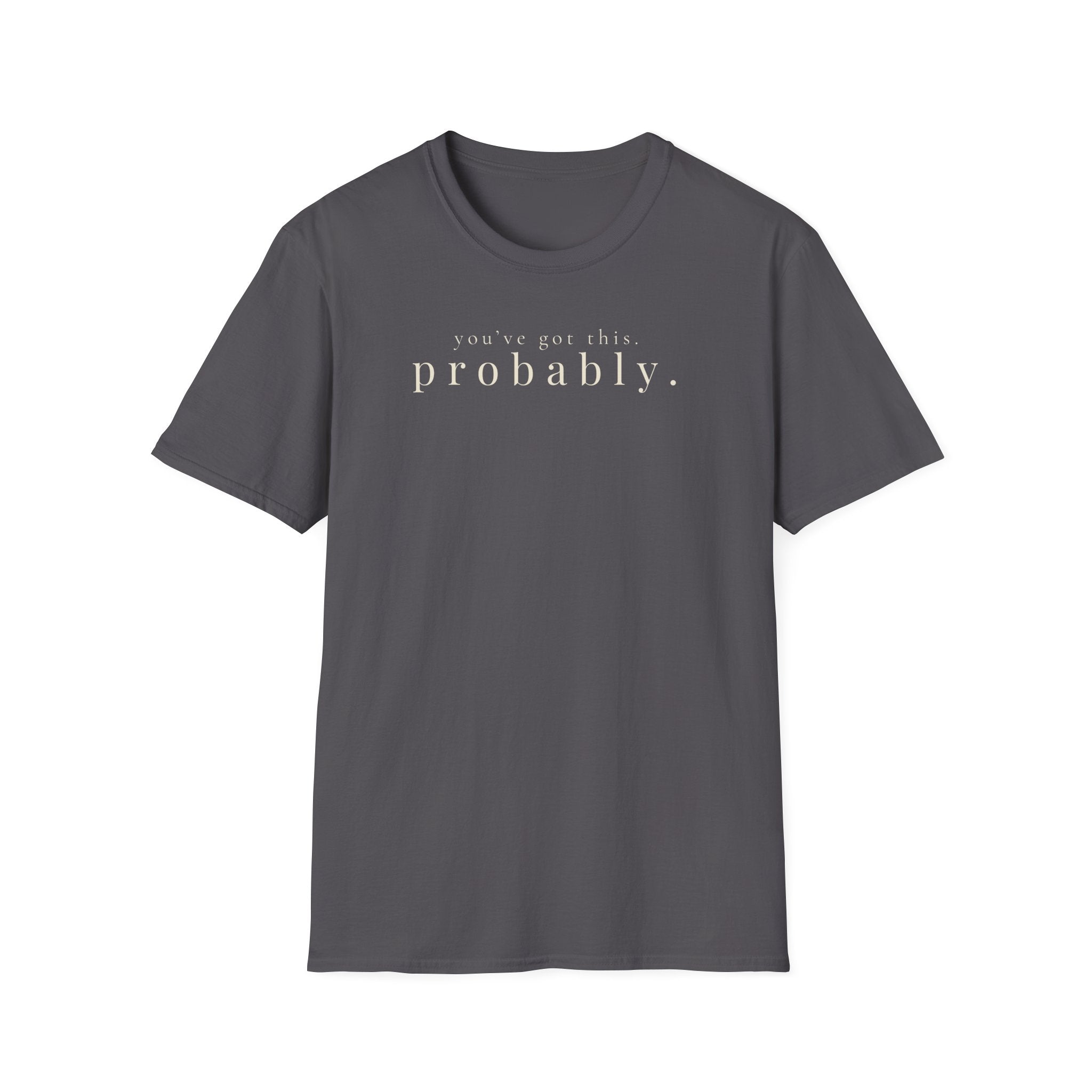 you've got this. probably. t-shirt